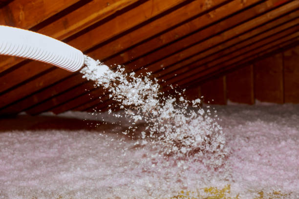 Best Specialized Insulation Services in Park Forest, IL