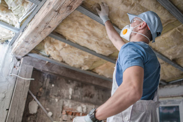 Best Fiberglass Insulation in Park Forest, IL
