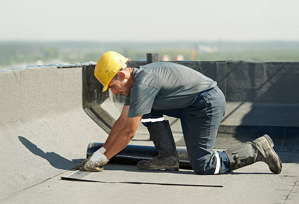Best Cellulose Insulation in Park Forest, IL